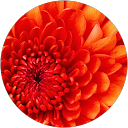 Strategic Wealth Builders profile picture